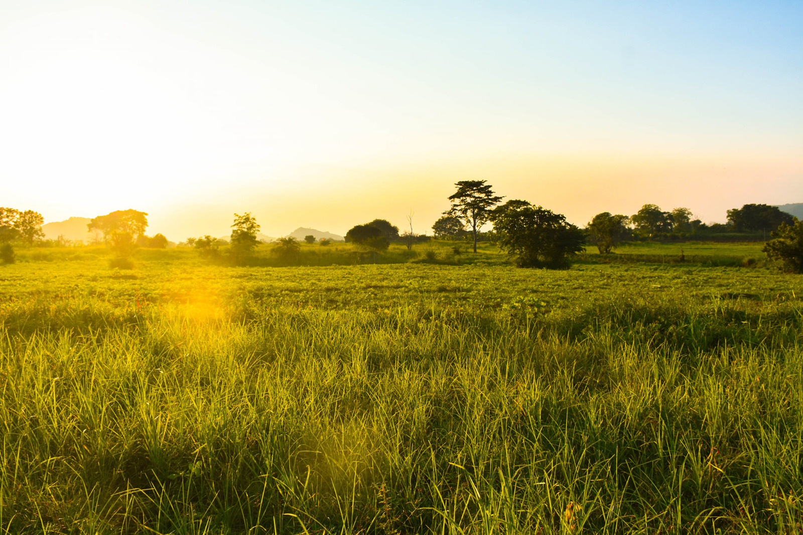 WhatsApp Image 2025 11 17 At 9.08.51 AM 1